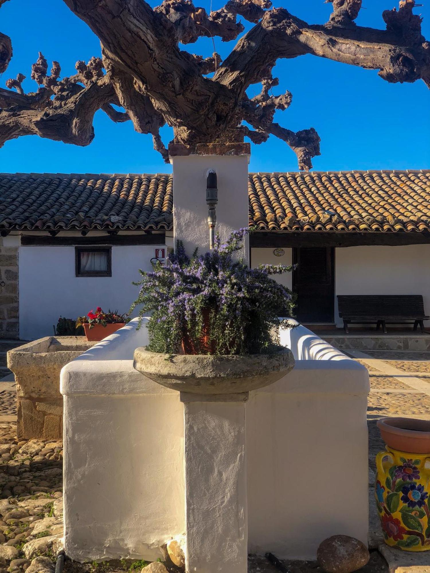 Fattoria Manostalla Villa Chiarelli Balestrate ภายนอก รูปภาพ