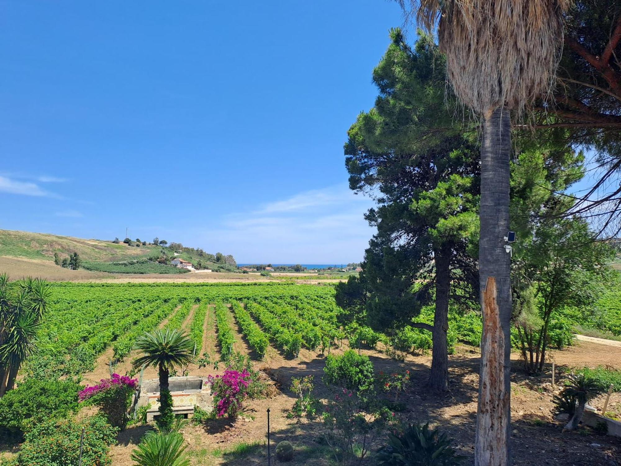 Fattoria Manostalla Villa Chiarelli Balestrate ภายนอก รูปภาพ