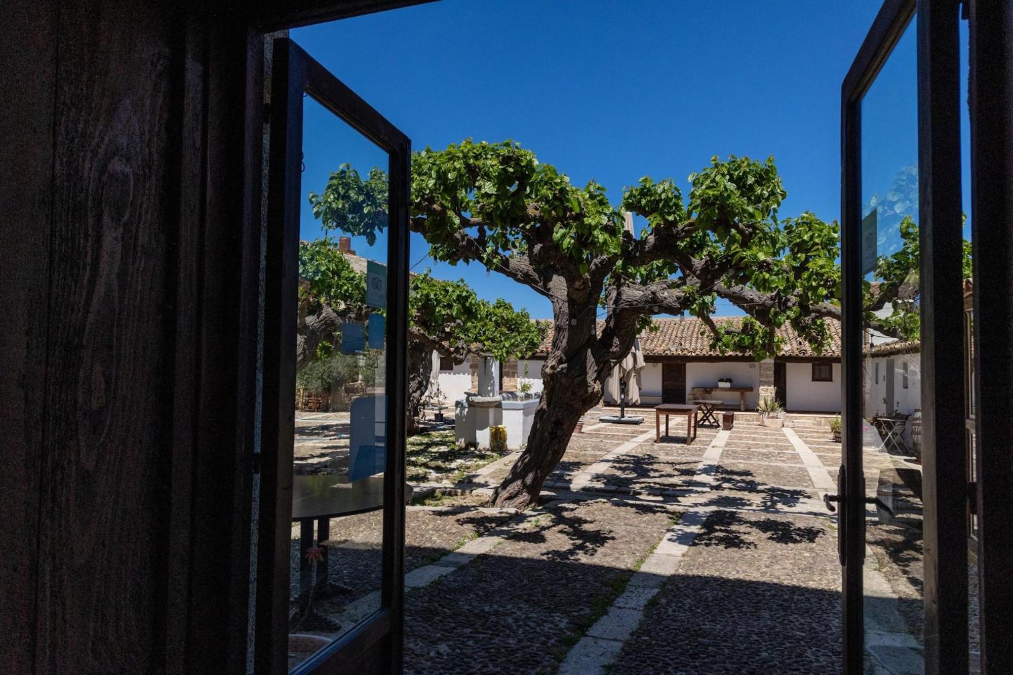 Fattoria Manostalla Villa Chiarelli Balestrate ภายนอก รูปภาพ